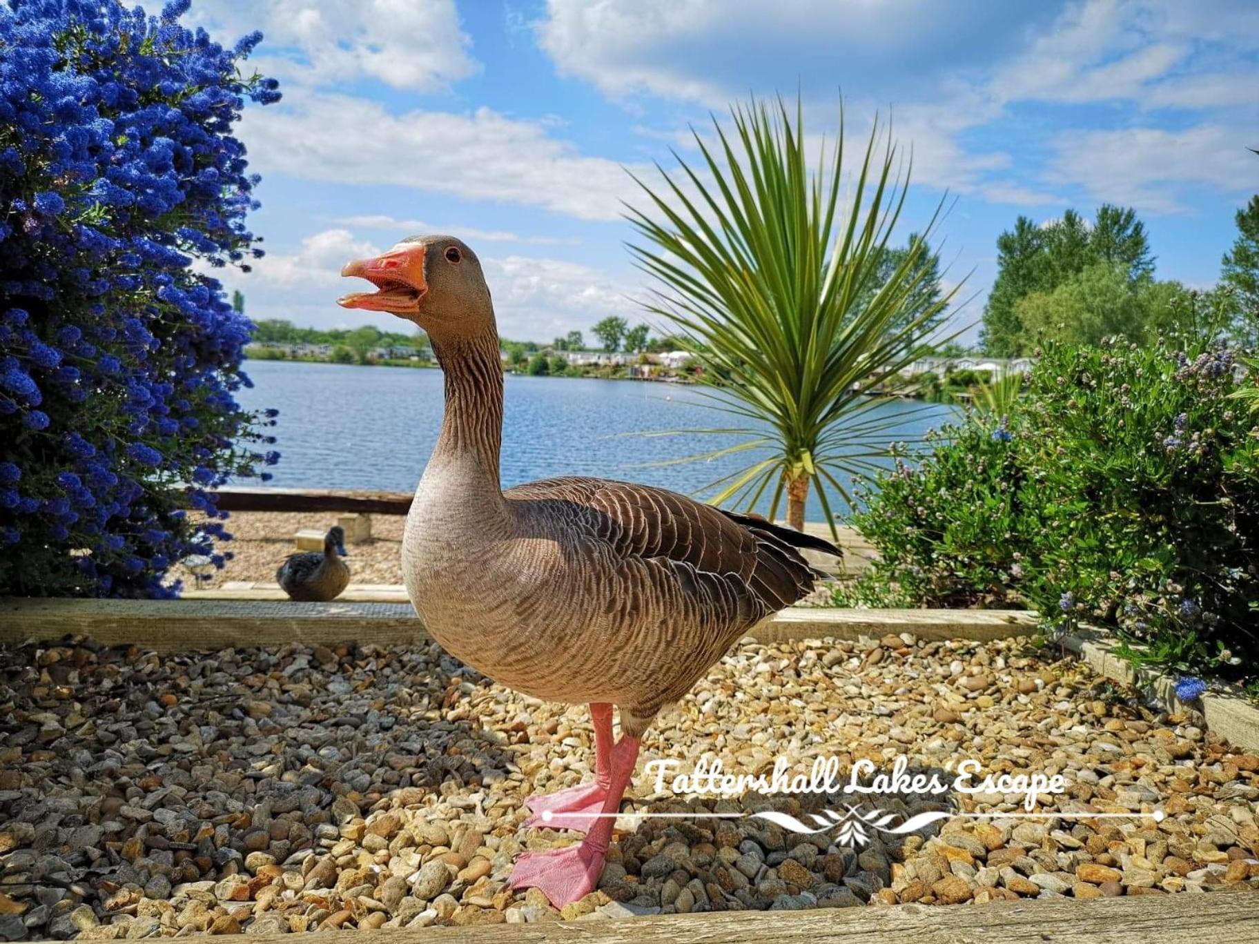 Meridian Tattershall Lakes Escape - Lakeside Lodge Caravan With A Fishing Peg Luxury Hot Tub Eksteriør billede