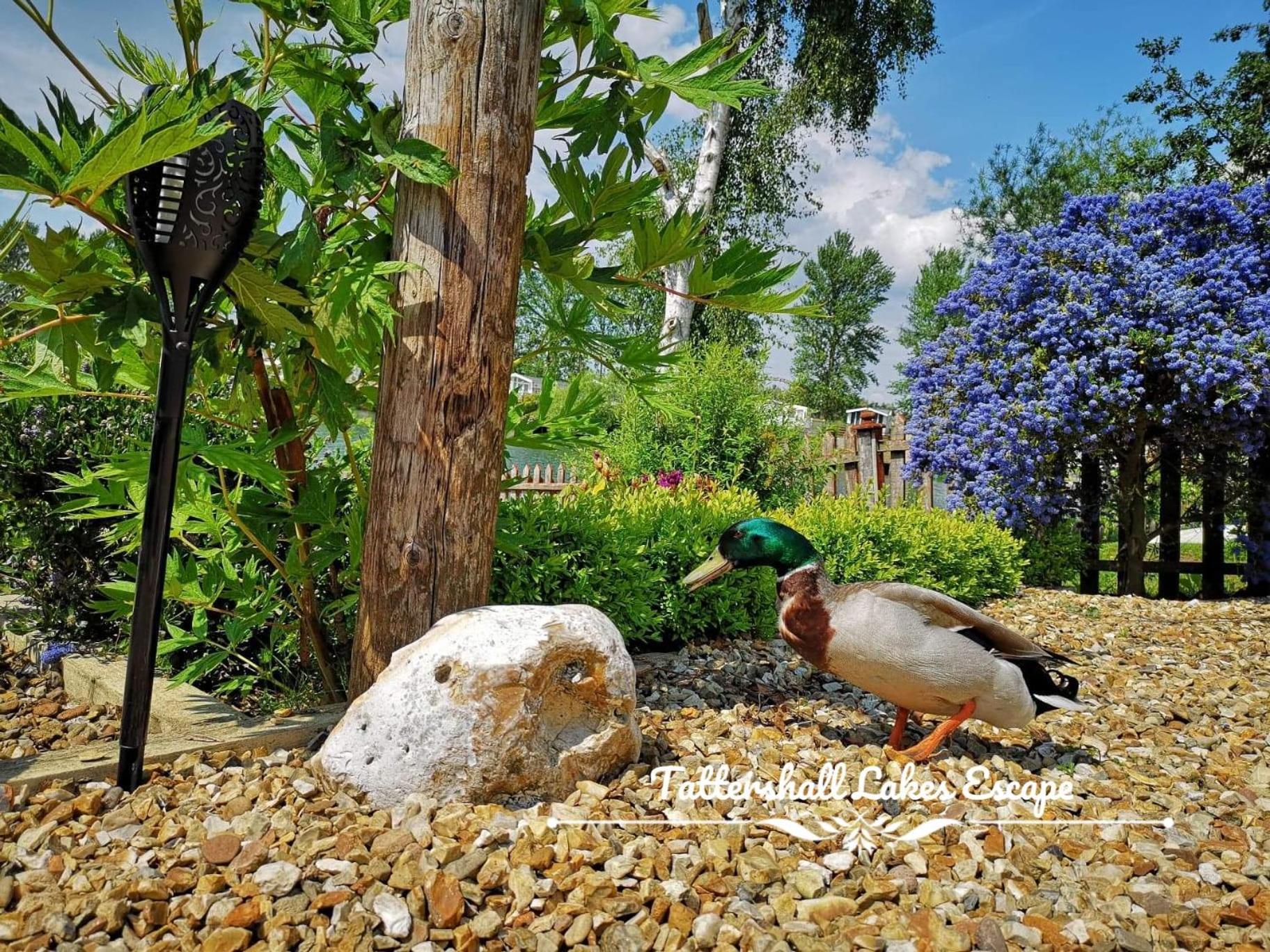 Meridian Tattershall Lakes Escape - Lakeside Lodge Caravan With A Fishing Peg Luxury Hot Tub Eksteriør billede